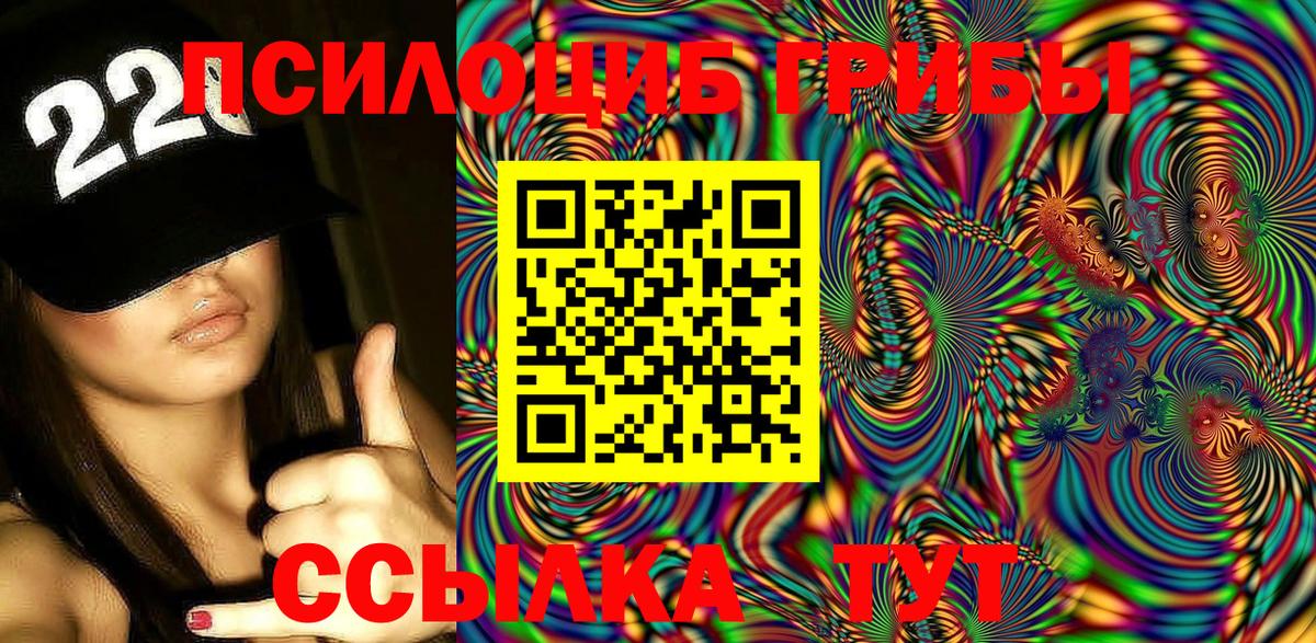 Павлово  Псилоцибиновые грибы мицелий  Псилоцибиновые грибы Cubensis  Вход с VPN 